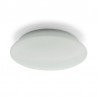 My White R