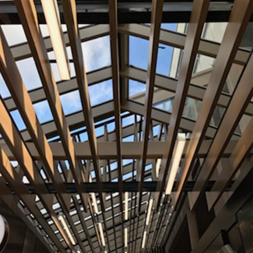 ARK Apparent Paris2 ARK Apparent Paris2