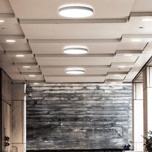 DISCUS UP-DOWN_Amb_n