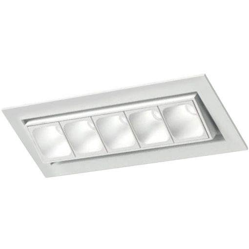 LOOP x5 bl_n LOOP x5 bl_n