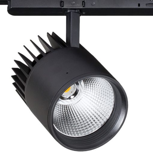 SILVER 22_1_n SILVER 22_1_n