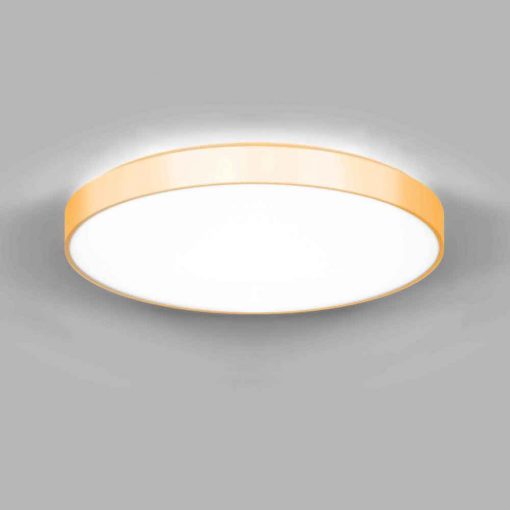 DISCUS Jaun up-down_n DISCUS Jaun up-down_n