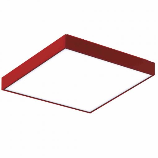 DISCUS Q Roug_n DISCUS Q Roug_n