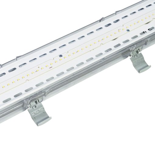 AQUATICA_02_n AQUATICA_02_n